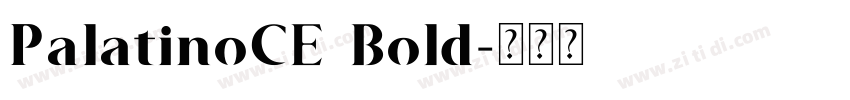 PalatinoCE Bold字体转换
